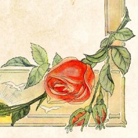 ★ Set of 5 Vintage Floral Frames + Bonus Bookplate (1909)